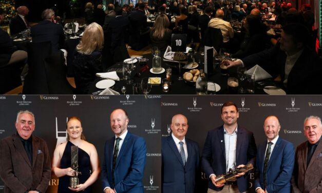 Wafer and Beirne Take Guinness Rugby Writers Awards