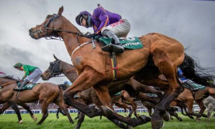 Leopardstown Christmas Attendance Up Seven Per Cent