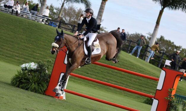 Irish Riders Dominate Global Showjumping Circuit with Five International Wins