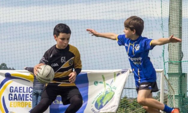 Views Sought on Adapted Gaelic Games at Under Age