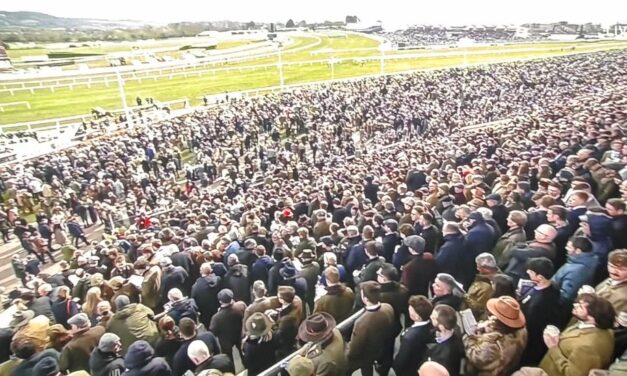 A Marketing Experts Eye on Activation at Cheltenham