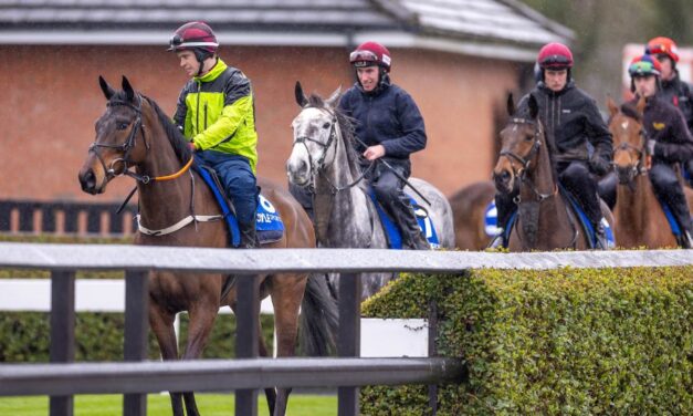 Fairyhouse Expecting Large Crowds for Easter Festival
