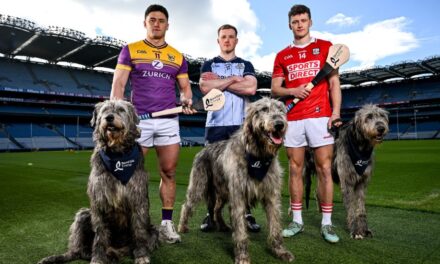 Bord Gais Energy Back for 17th Year of GAA Partnership