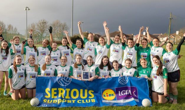 Five Pillars, 27 Clubs for Lidl LGFA Mental Wellbeing Initiative