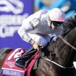 Irish Racing Takes on the World with Major Breeders’ Cup and Melbourne Cup Challenge