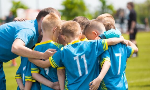 Opinion: FAI Safeguarding Review